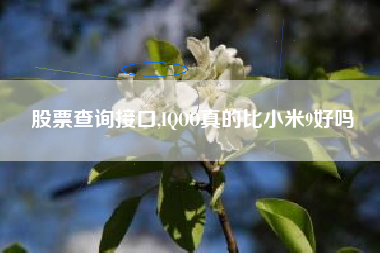 股票查询接口,IQOO真的比小米9好吗