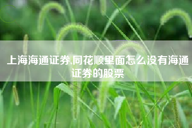 上海海通证券,同花顺里面怎么没有海通证券的股票