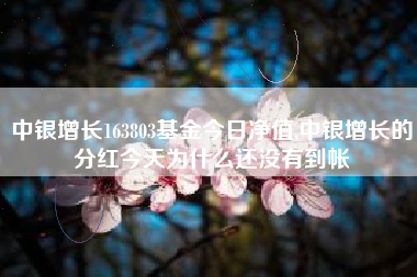 中银增长163803基金今日净值,中银增长的分红今天为什么还没有到帐