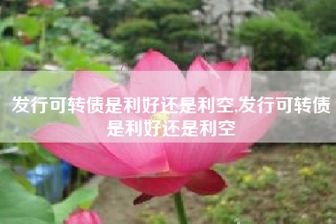 发行可转债是利好还是利空,发行可转债是利好还是利空
