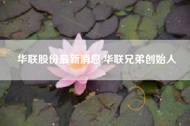 华联股份最新消息,华联兄弟创始人