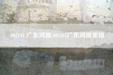002101 广东鸿图,002101广东鸿图重组