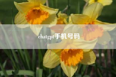 chatgpt手机号码
