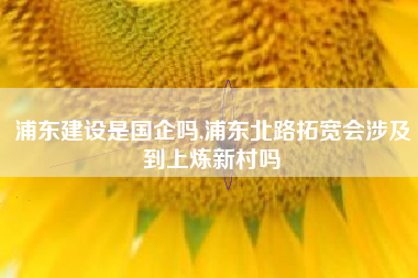 浦东建设是国企吗,浦东北路拓宽会涉及到上炼新村吗