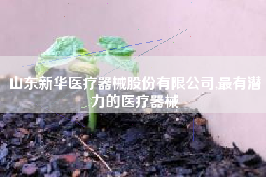 山东新华医疗器械股份有限公司,最有潜力的医疗器械