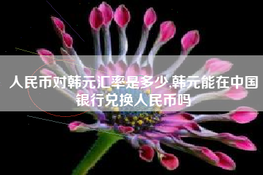 人民币对韩元汇率是多少,韩元能在中国银行兑换人民币吗