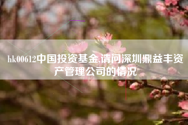 hk00612中国投资基金,请问深圳鼎益丰资产管理公司的情况