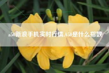 a50新浪手机实时行情,A50是什么指数