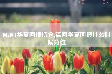 002001华夏回报持仓,请问华夏回报什么时候分红