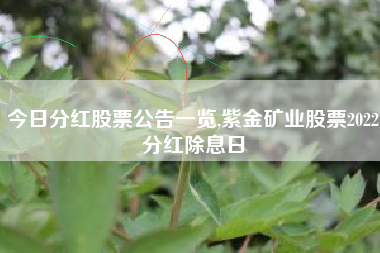 今日分红股票公告一览,紫金矿业股票2022分红除息日