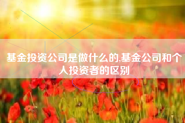 基金投资公司是做什么的,基金公司和个人投资者的区别