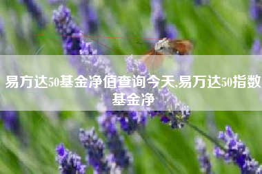 易方达50基金净值查询今天,易万达50指数基金净値