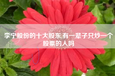 李宁股份的十大股东,有一辈子只炒一个股票的人吗