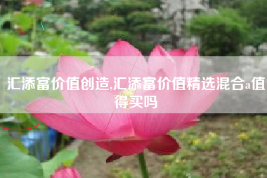 汇添富价值创造,汇添富价值精选混合a值得买吗