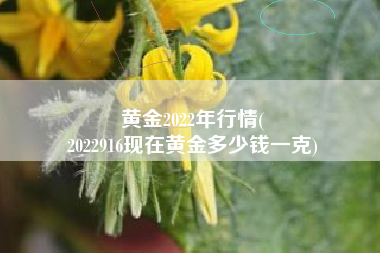 黄金2022年行情(
2022916现在黄金多少钱一克) 黄金2022年行情(
2022916现在黄金多少钱一克)