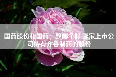 国药股份和国药一致哪个好,哪家上市公司持有齐鲁制药的股份