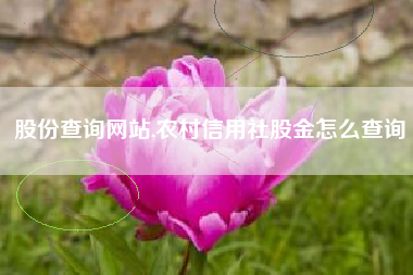 股份查询网站,农村信用社股金怎么查询