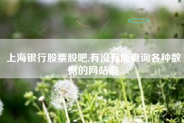 上海银行股票股吧,有没有能查询各种数据的网站啊