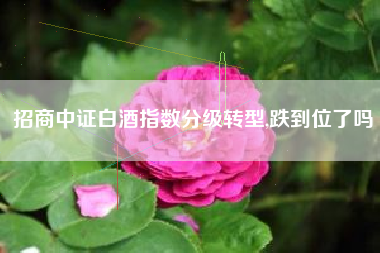 招商中证白酒指数分级转型,跌到位了吗