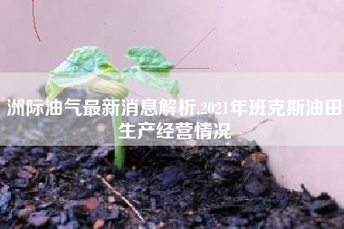洲际油气最新消息解析,2021年班克斯油田生产经营情况