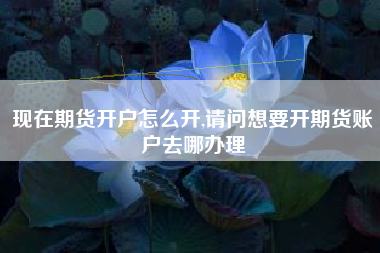 现在期货开户怎么开,请问想要开期货账户去哪办理