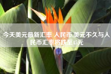 今天美元最新汇率 人民币,美元不久与人民币汇率将跌至45元