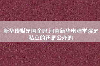 新华传媒是国企吗,河南新华电脑学院是私立的还是公办的
