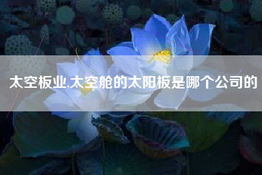 太空板业,太空舱的太阳板是哪个公司的