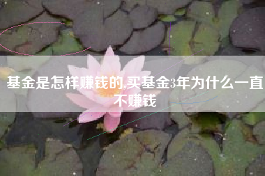 基金是怎样赚钱的,买基金3年为什么一直不赚钱