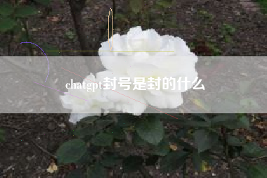 chatgpt封号是封的什么