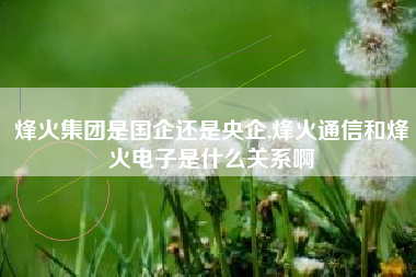 烽火集团是国企还是央企,烽火通信和烽火电子是什么关系啊