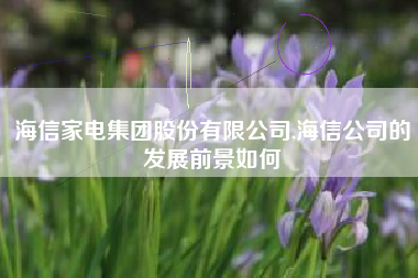 海信家电集团股份有限公司,海信公司的发展前景如何
