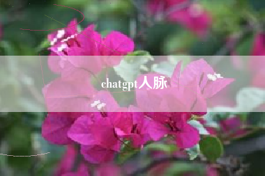 chatgpt人脉