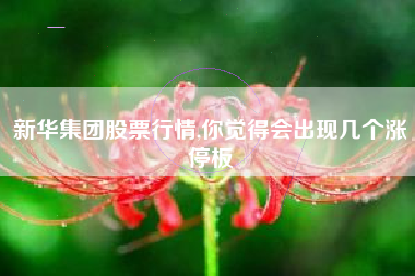 新华集团股票行情,你觉得会出现几个涨停板