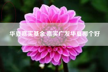 华夏嘉实基金,嘉实广发华夏哪个好