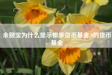 余额宝为什么显示银华货币基金,0的货币基金