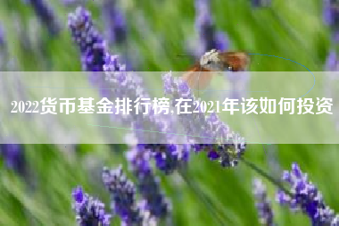 2022货币基金排行榜,在2021年该如何投资