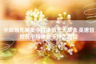 华商领先基金今日净值天天基金,英唐智控在半导体处于什么地位