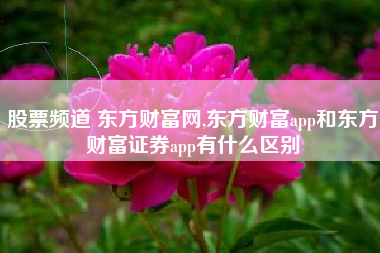 股票频道 东方财富网,东方财富app和东方财富证券app有什么区别