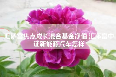 汇添富焦点成长混合基金净值,汇添富中证新能源汽车怎样