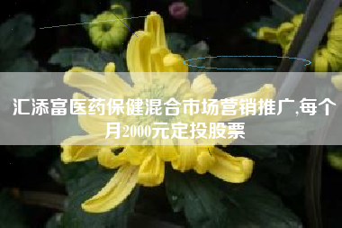 汇添富医药保健混合市场营销推广,每个月2000元定投股票