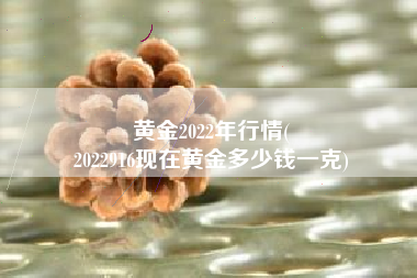 黄金2022年行情(
2022916现在黄金多少钱一克) 黄金2022年行情(
2022916现在黄金多少钱一克)