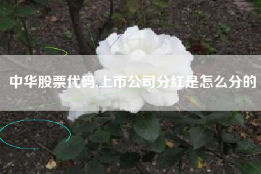 中华股票代码,上市公司分红是怎么分的