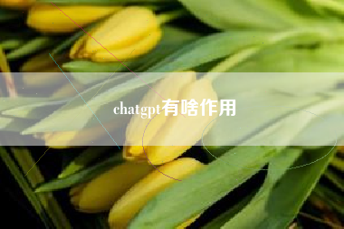 chatgpt有啥作用