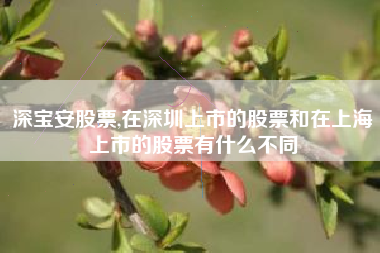深宝安股票,在深圳上市的股票和在上海上市的股票有什么不同