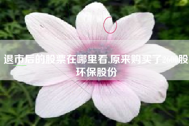 退市后的股票在哪里看,原来购买了2600股环保股份
