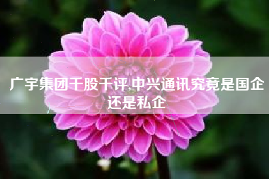 广宇集团千股千评,中兴通讯究竟是国企还是私企