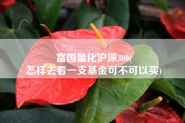 富国量化沪深300(
怎样去看一支基金可不可以买) 富国量化沪深300(
怎样去看一支基金可不可以买)