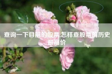 查询一下目前的股票,怎样查股票的历史最高价