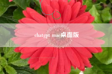 chatgpt mac桌面版